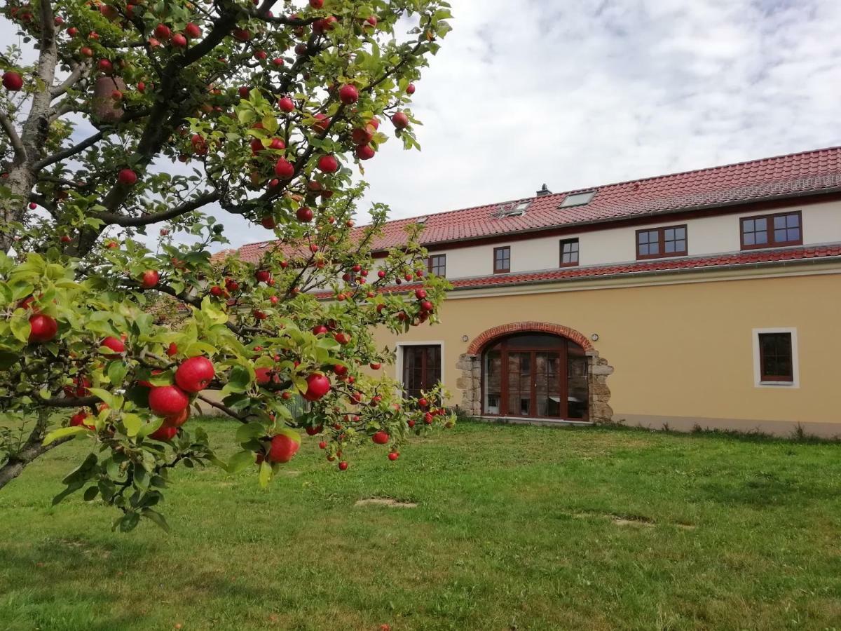 Ferienhof-Kuehn Hochkirch Esterno foto